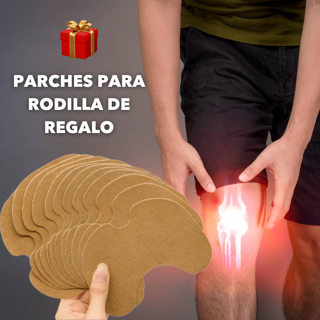 Encabezado