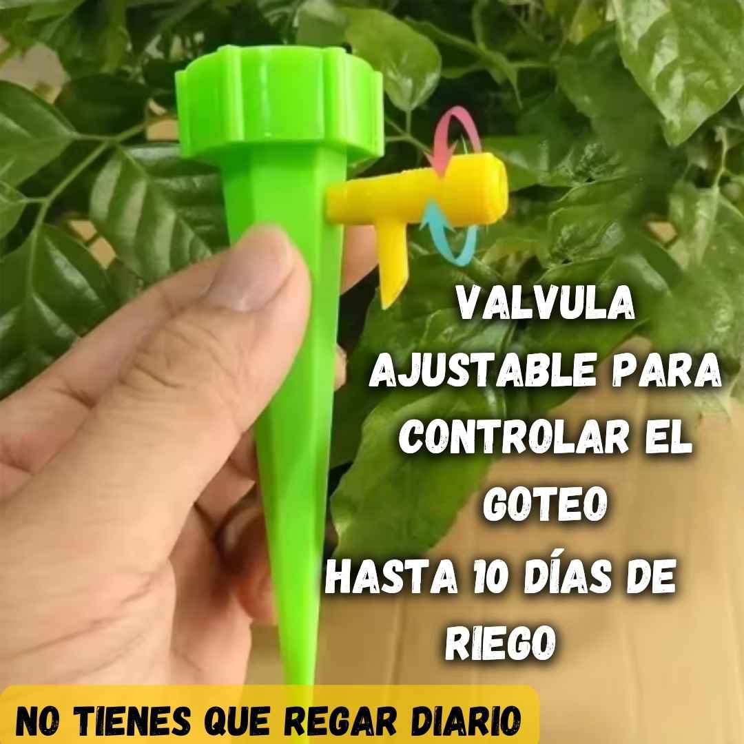 Encabezado