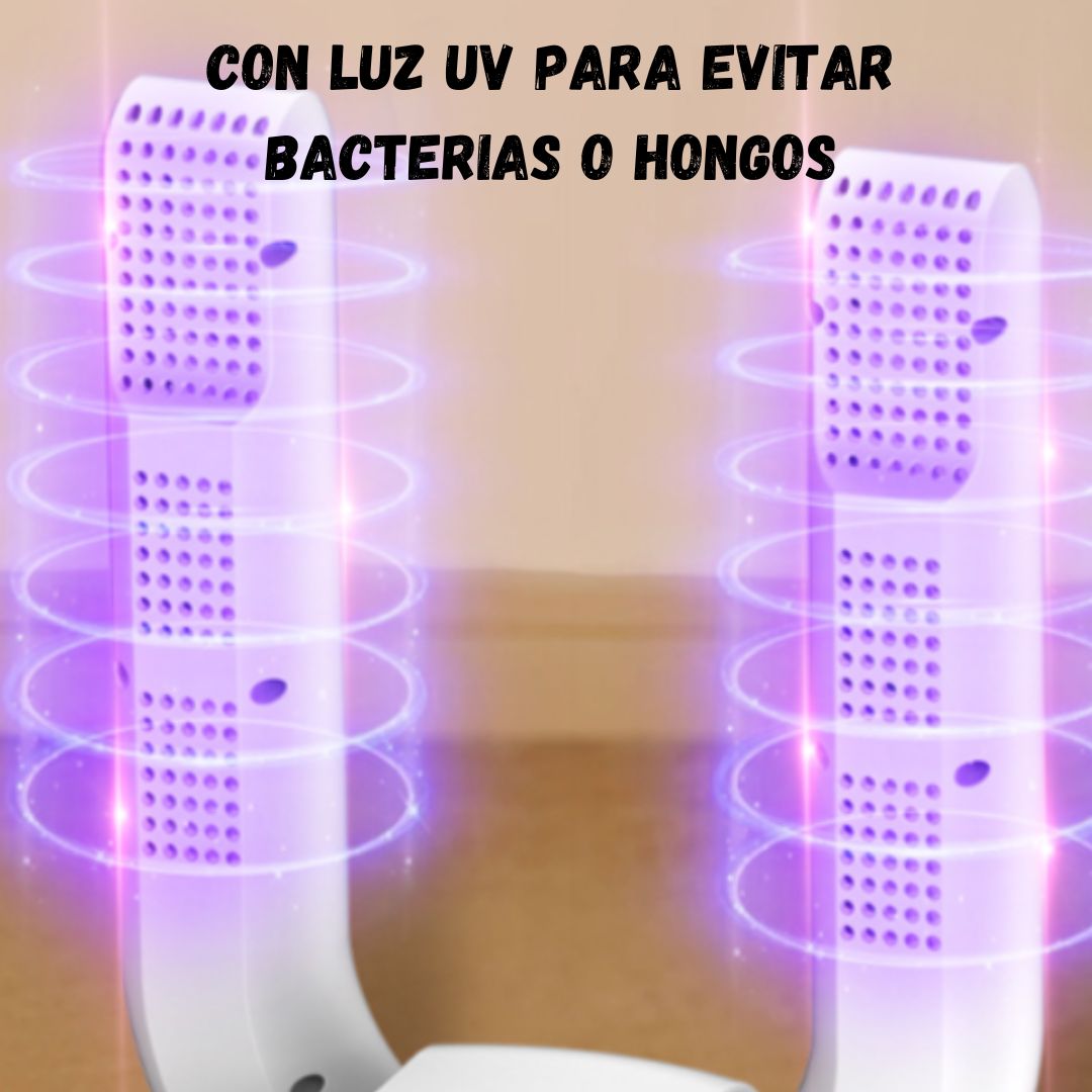 Encabezado