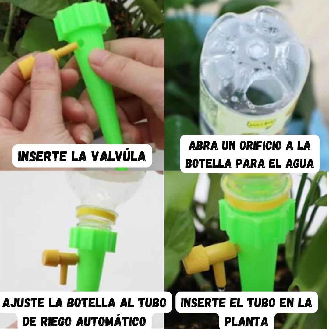 Encabezado