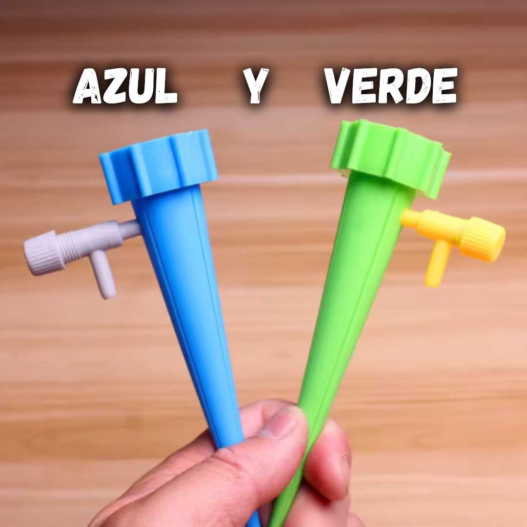 Encabezado