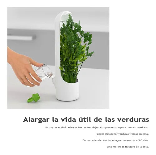 Pack de 2 Conservadores de Cilantro y Hierbas Siempre Frescas Con 60% Descuento🔥
