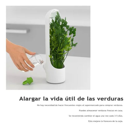 Pack de 2 Conservadores de Cilantro y Hierbas Siempre Frescas Con 60% Descuento🔥