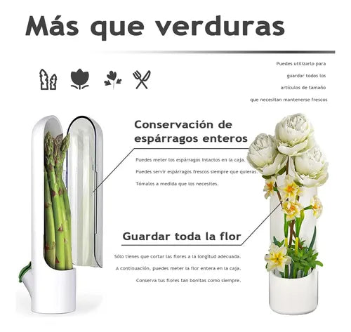 Pack de 2 Conservadores de Cilantro y Hierbas Siempre Frescas Con 60% Descuento🔥