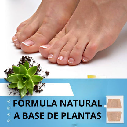 NailPure™ Parches Anti Hongos Uñas Encarnadas SUPER OFERTA 2x1🔥