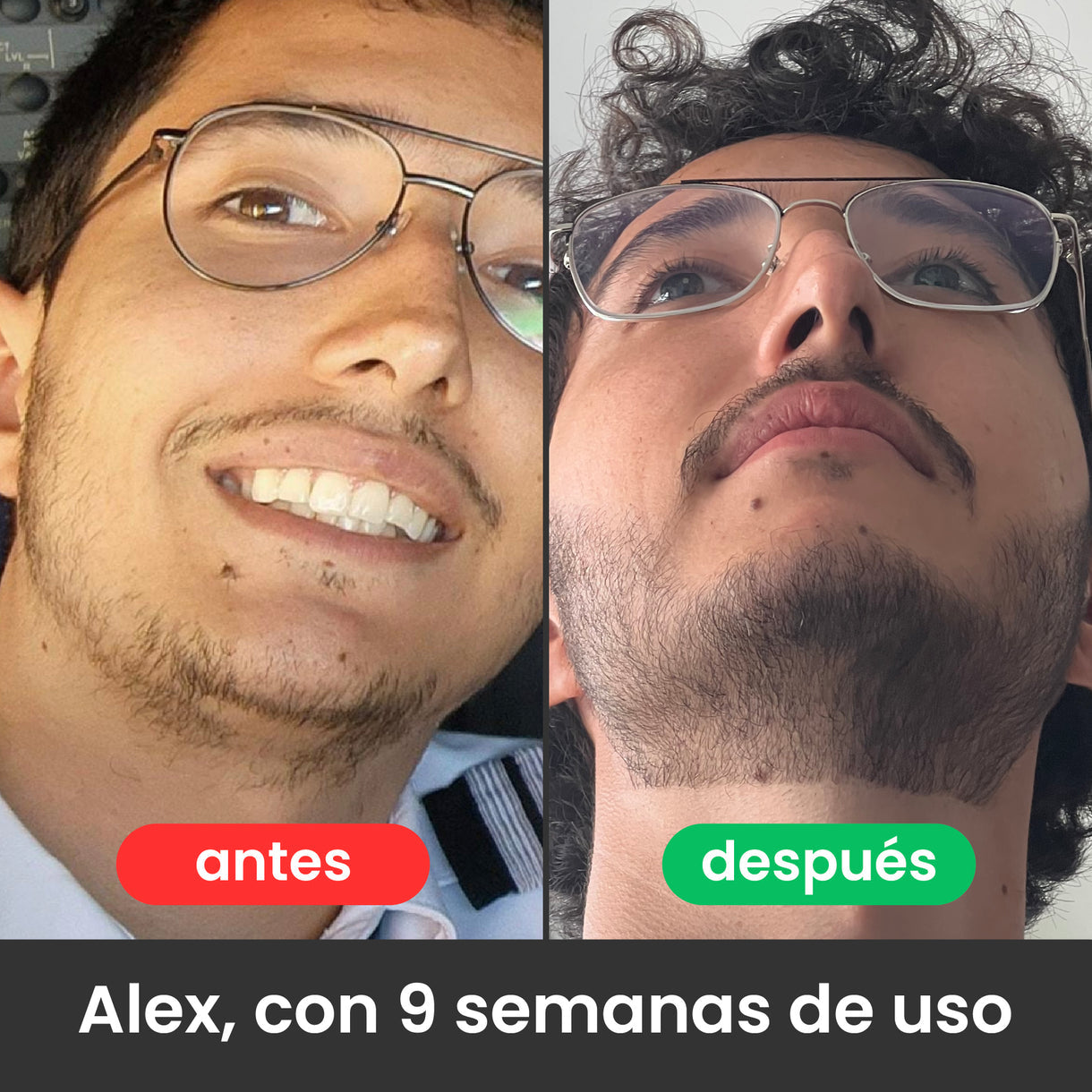 Encabezado