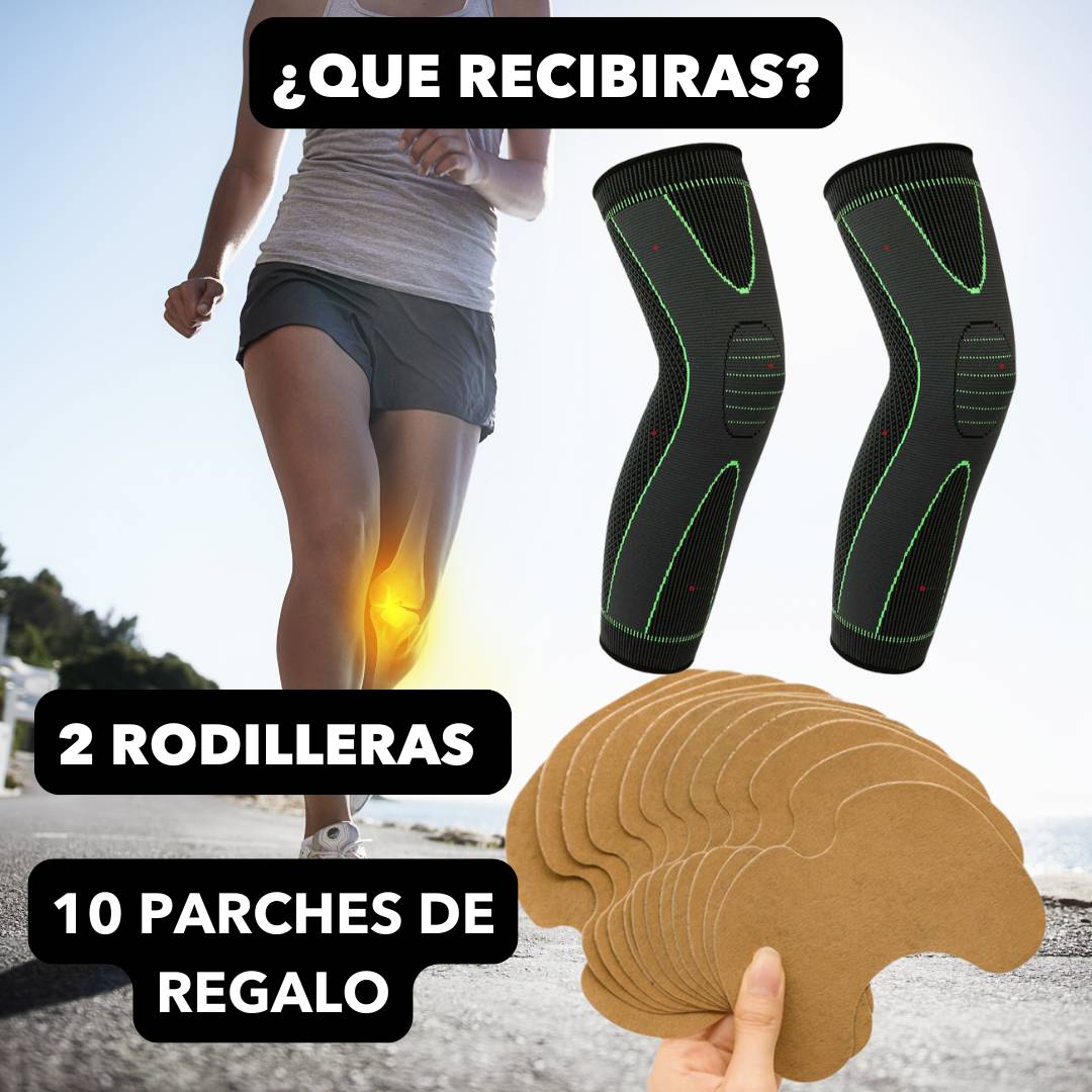 Encabezado