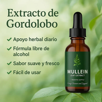 Mullein Gotas Limpieza Pulmonar 🔥60% de Descuento🔥 Respira con alivio.