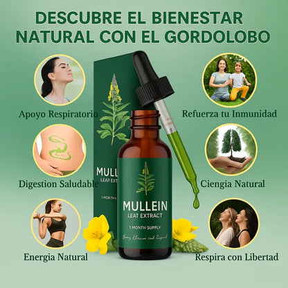 Mullein Gotas Limpieza Pulmonar 🔥60% de Descuento🔥 Respira con alivio.