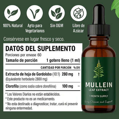 Mullein Gotas Limpieza Pulmonar 🔥60% de Descuento🔥 Respira con alivio.